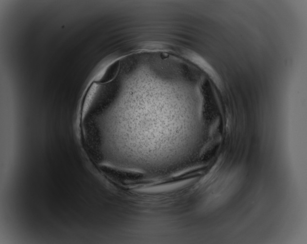 X0000100341378200806191015