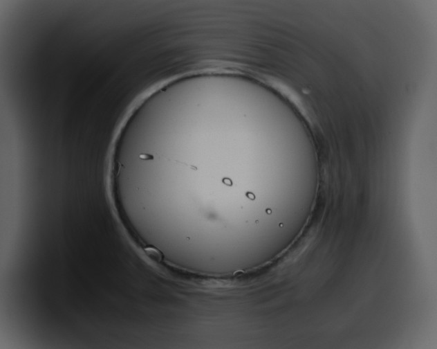 X0000100341379200806191015