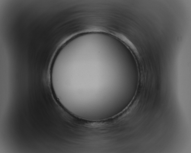 X0000100341380200806191015