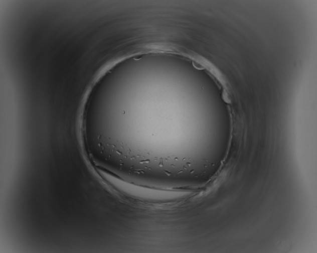 X0000100341381200806191015