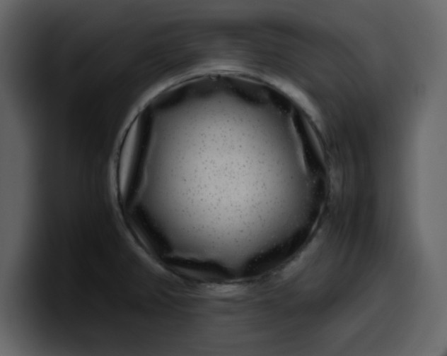 X0000100341382200806191015