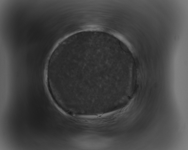 X0000100341383200806191015