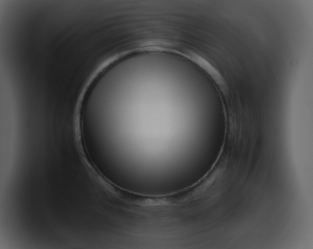 X0000100341384200806191015