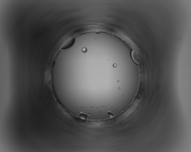 X0000100341385200806191015