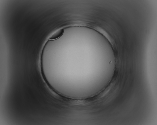 X0000100341387200806191015