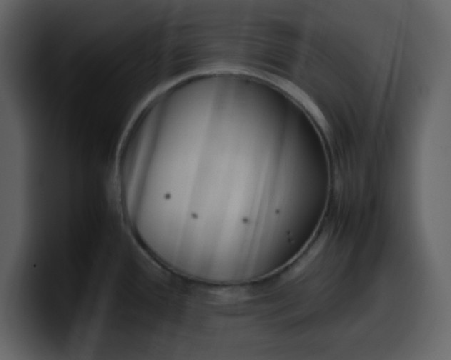 X0000100341388200806191015