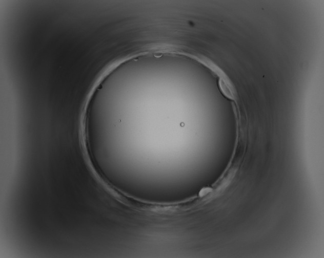 X0000100341389200806191015