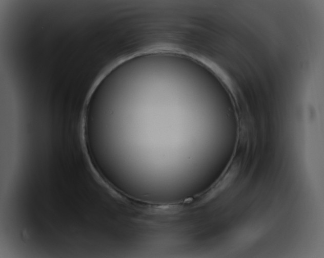 X0000100341390200806191015