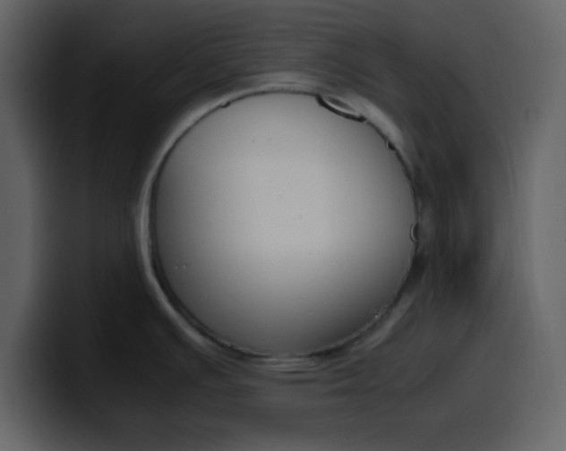 X0000100341391200806191015