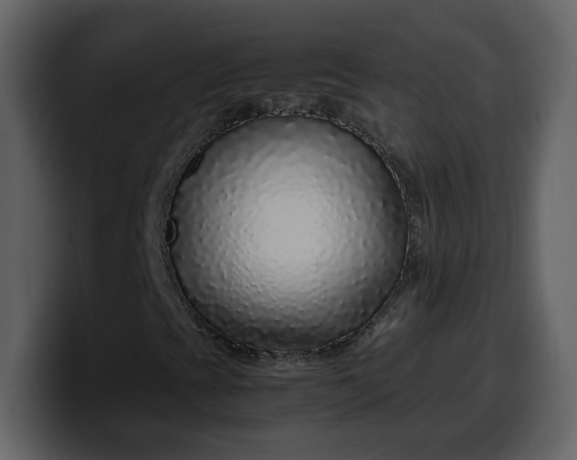 X0000100341393200806191014