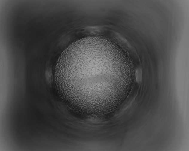 X0000100341395200806191014