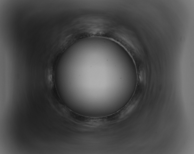 X0000100341396200806191014