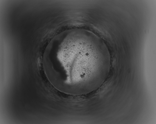 X0000100341397200806191014