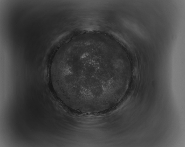 X0000100341398200806191014