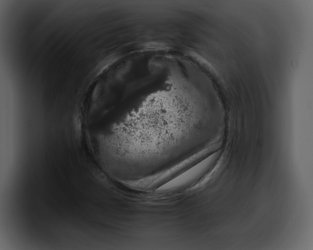 X0000100341401200806191014