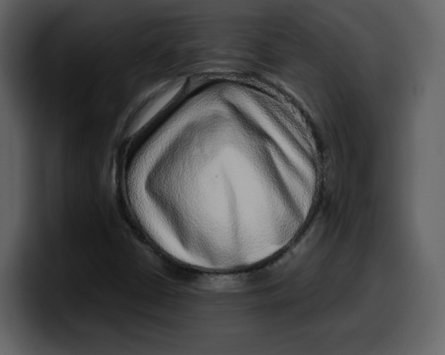 X0000100341402200806191014