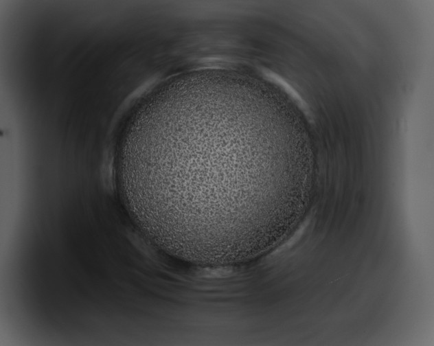 X0000100341403200806191014