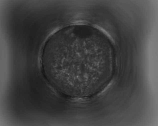 X0000100341405200806191014