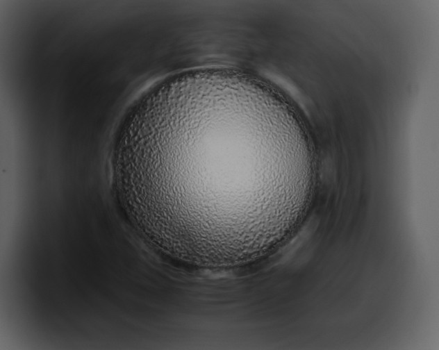 X0000100341407200806191014