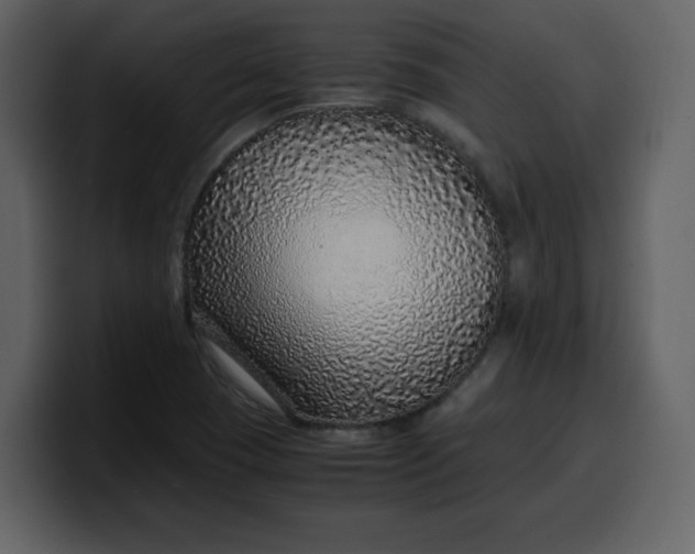 X0000100341409200806191014