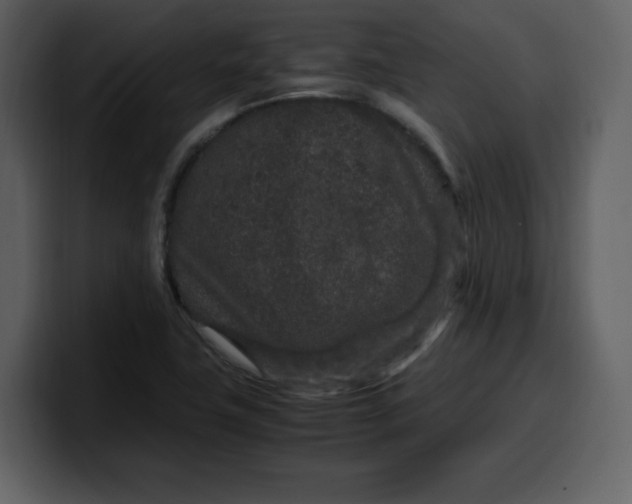 X0000100341411200806191015