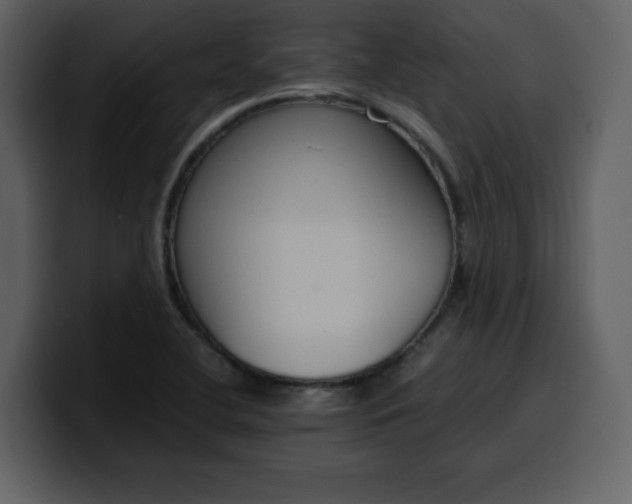 X0000100341412200806191015