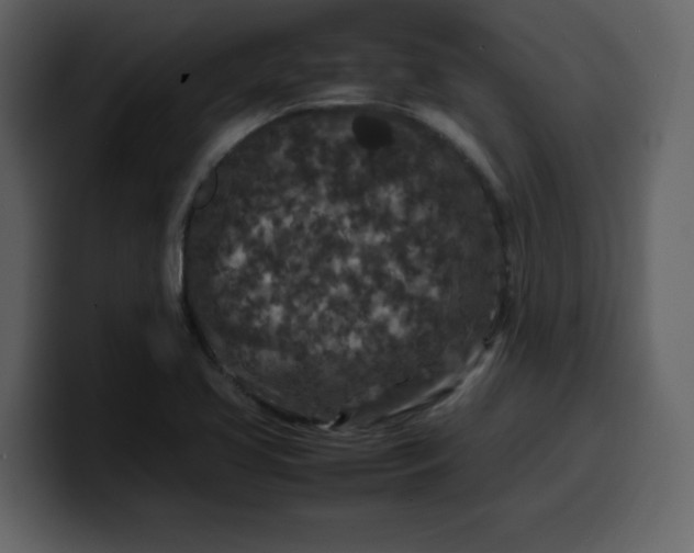 X0000100341413200806191015