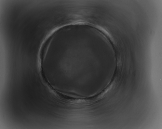 X0000100341414200806191015