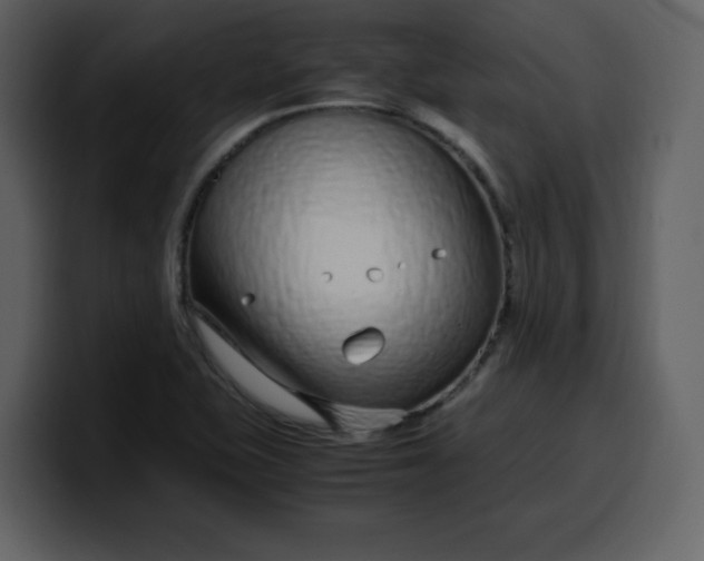 X0000100341415200806191015