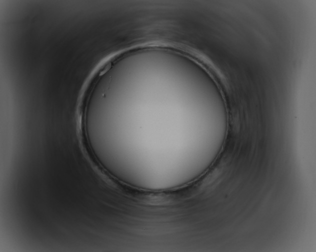 X0000100341416200806191015