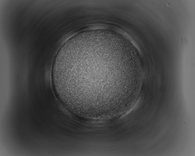 X0000100341417200806191015