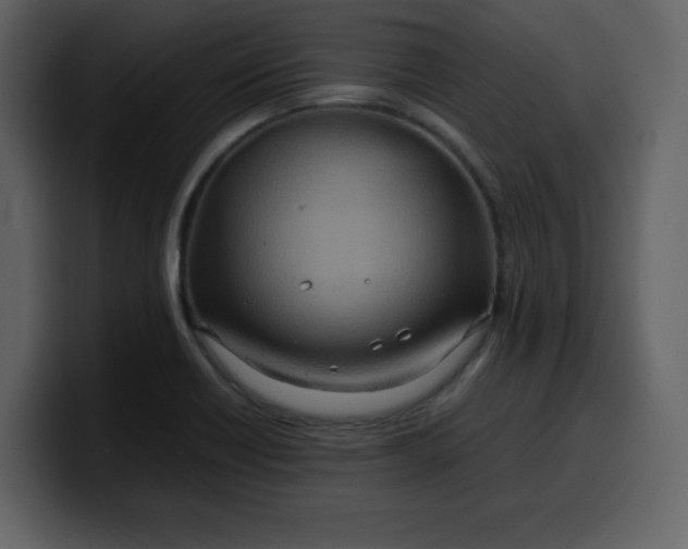 X0000100341418200806191015