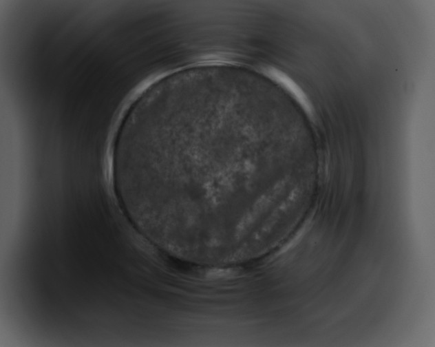 X0000100341419200806191015