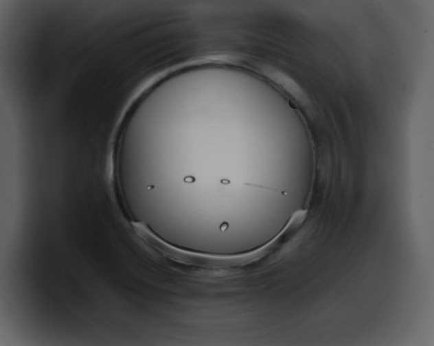 X0000100341420200806191015