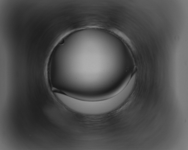 X0000100341423200806191015