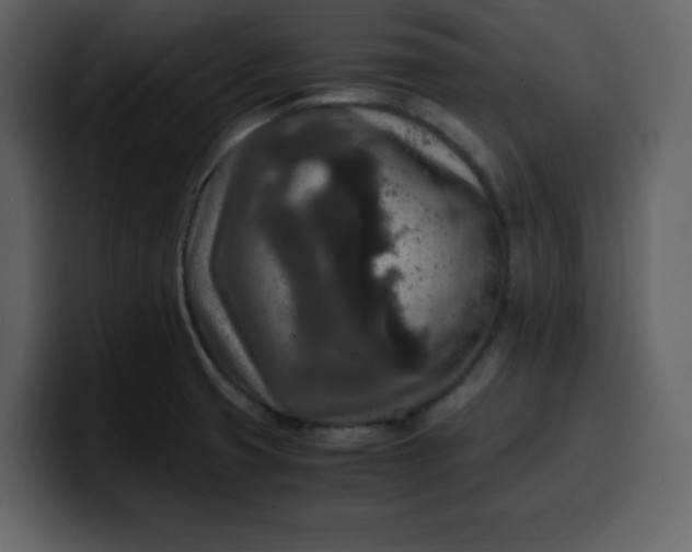 X0000100341425200806191015