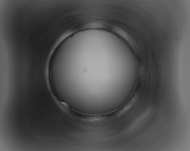 X0000100341426200806191015