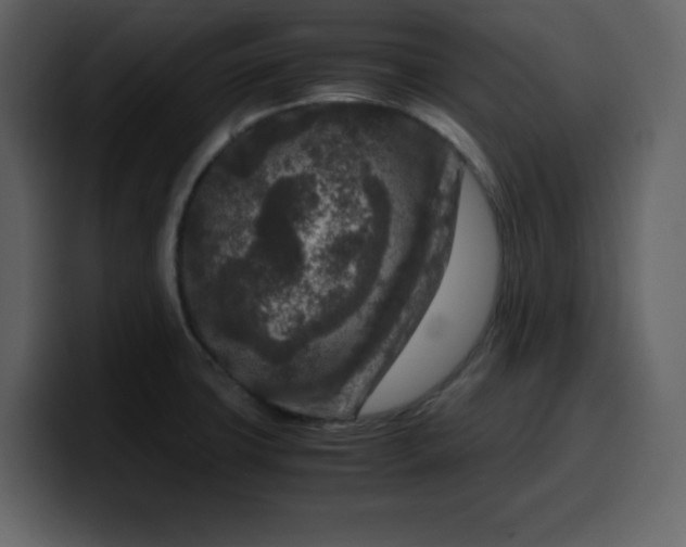 X0000100341427200806191015