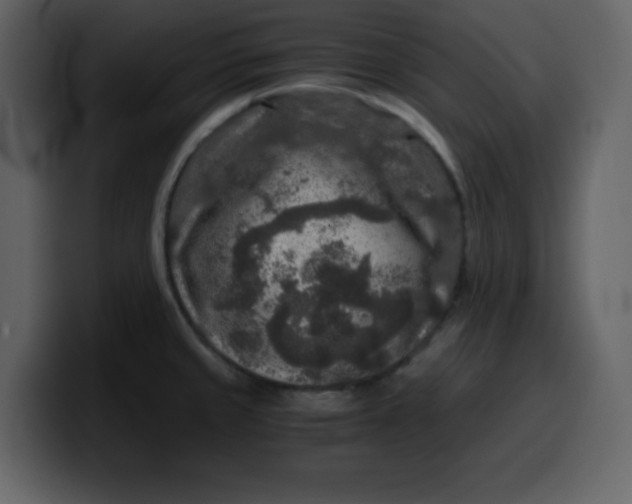 X0000100341429200806191015