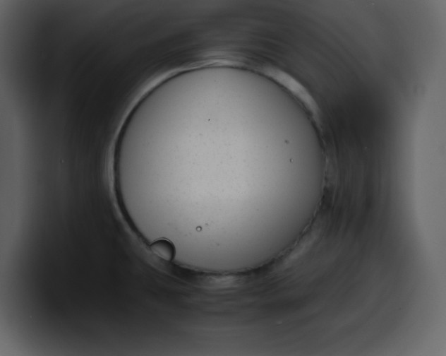 X0000100341431200806191015