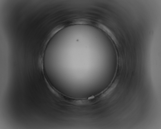 X0000100341433200806191015