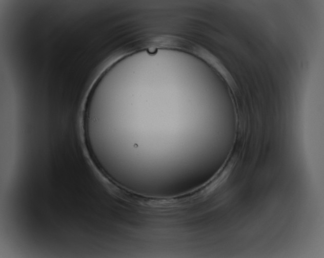 X0000100341434200806191015