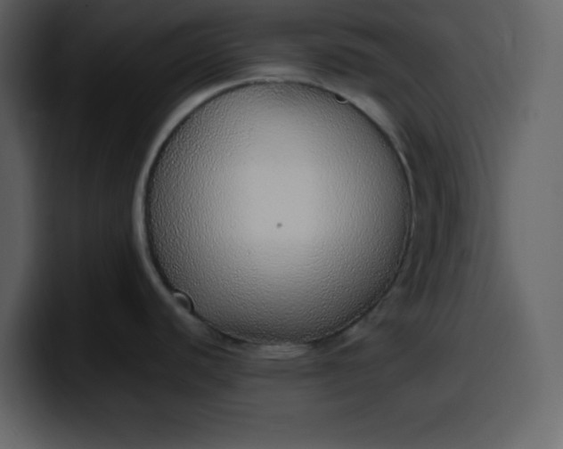 X0000100341440200806191015