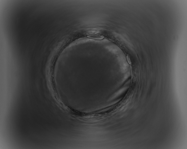 X0000100341441200806191014