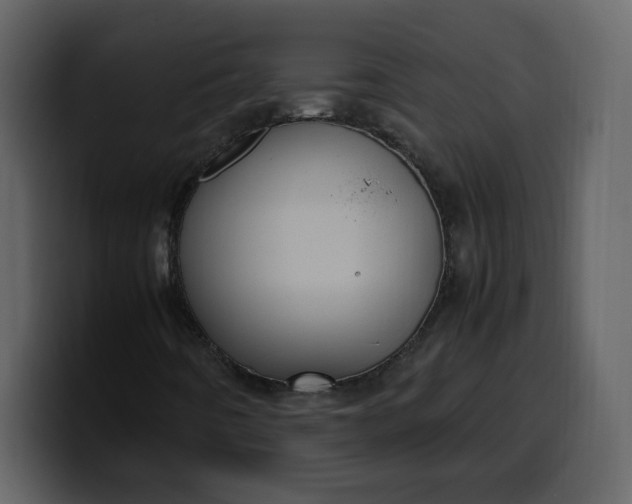 X0000100341442200806191014