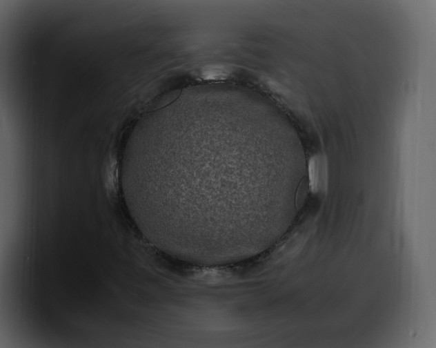 X0000100341443200806191014