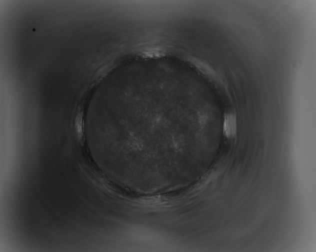 X0000100341444200806191014