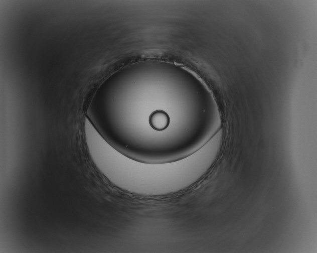 X0000100341445200806191014