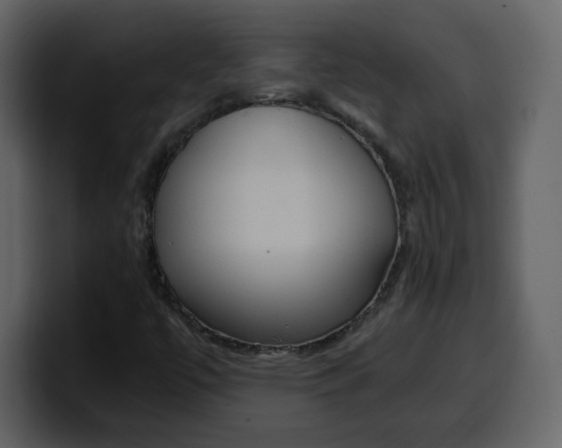 X0000100341447200806191014