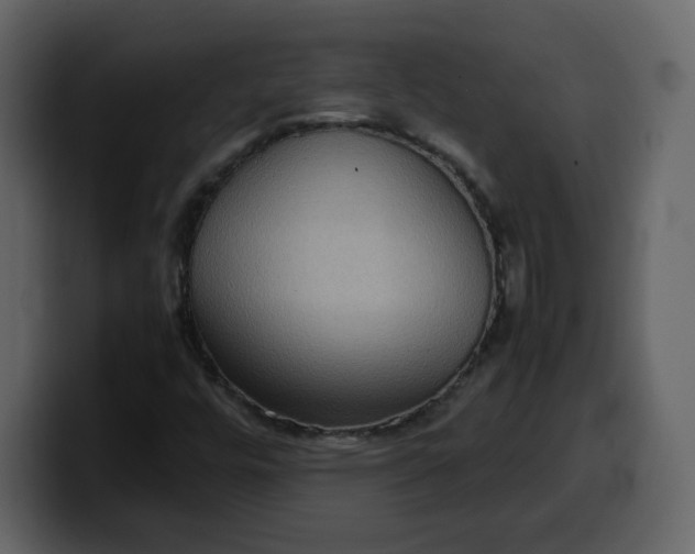 X0000100341448200806191014